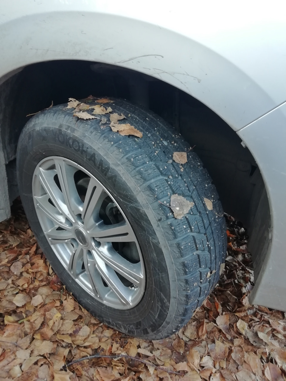 Фото в бортжурнале Toyota Esquire