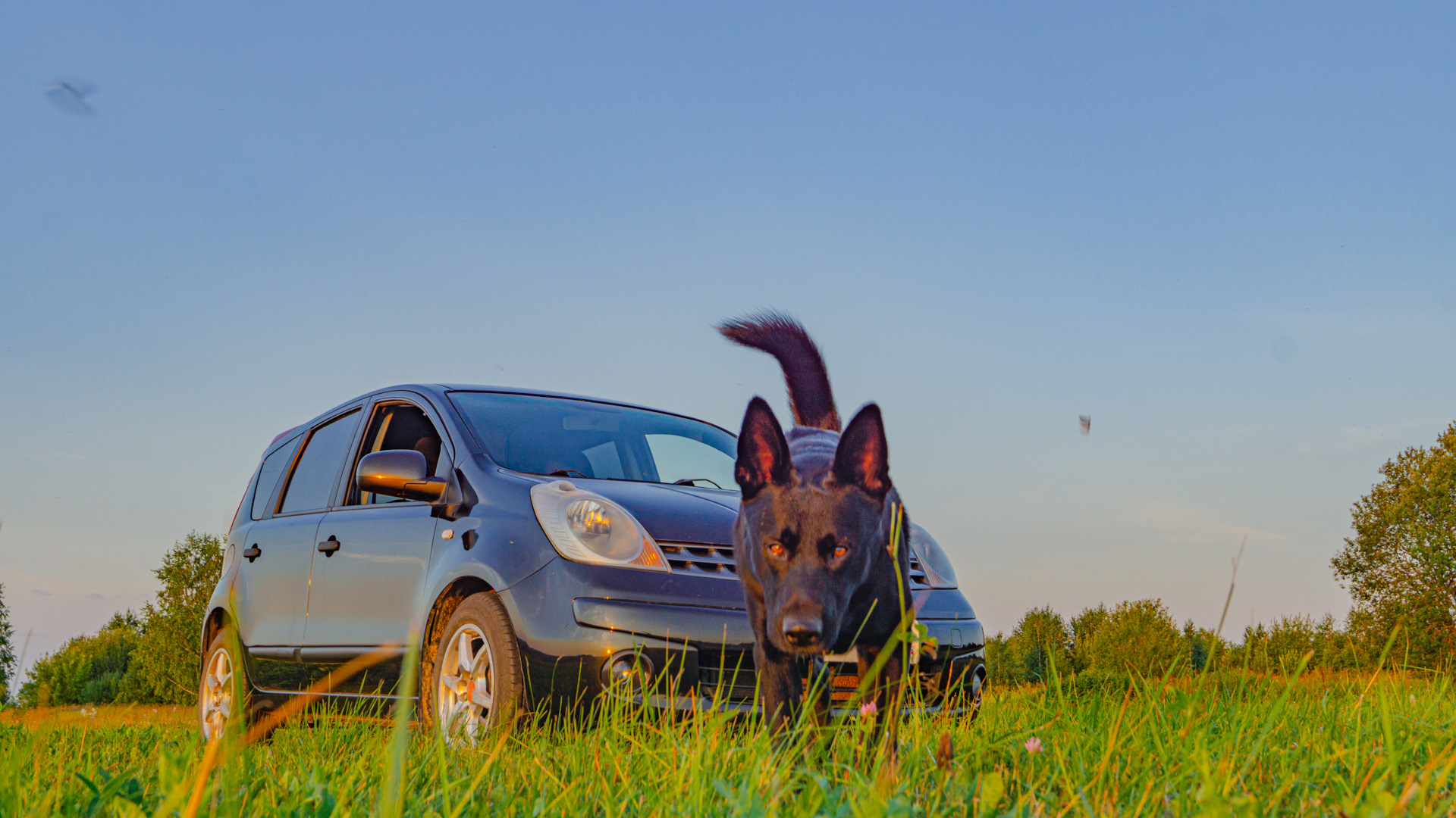 Nissan Note (1G) 1.4 бензиновый 2007 | Takeshi Overstate на DRIVE2