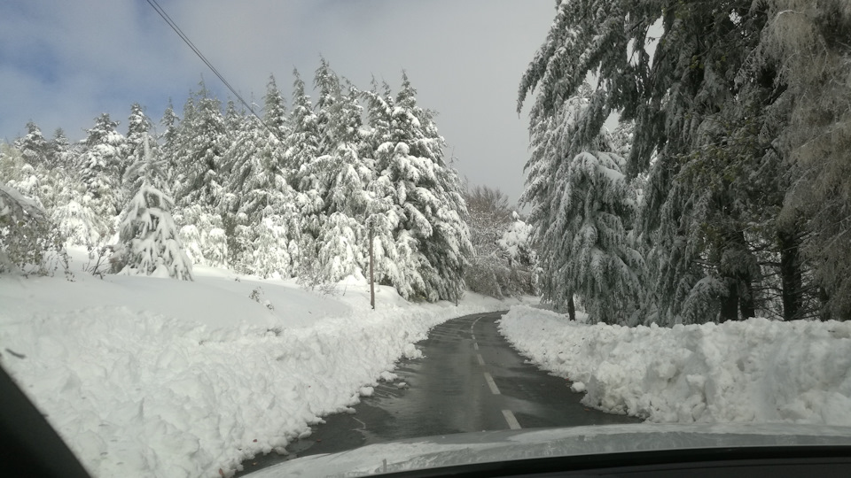 В душу начали закрадываться сомнения – а доеду ли я. Навстречу проехал мужичок, похожий на Дока из «Назад в будущее». Он поведал, что проезд выше становится все уже, развернуться негде, а таверна закрыта. Ну еще бы. — Audi A4 (B9)