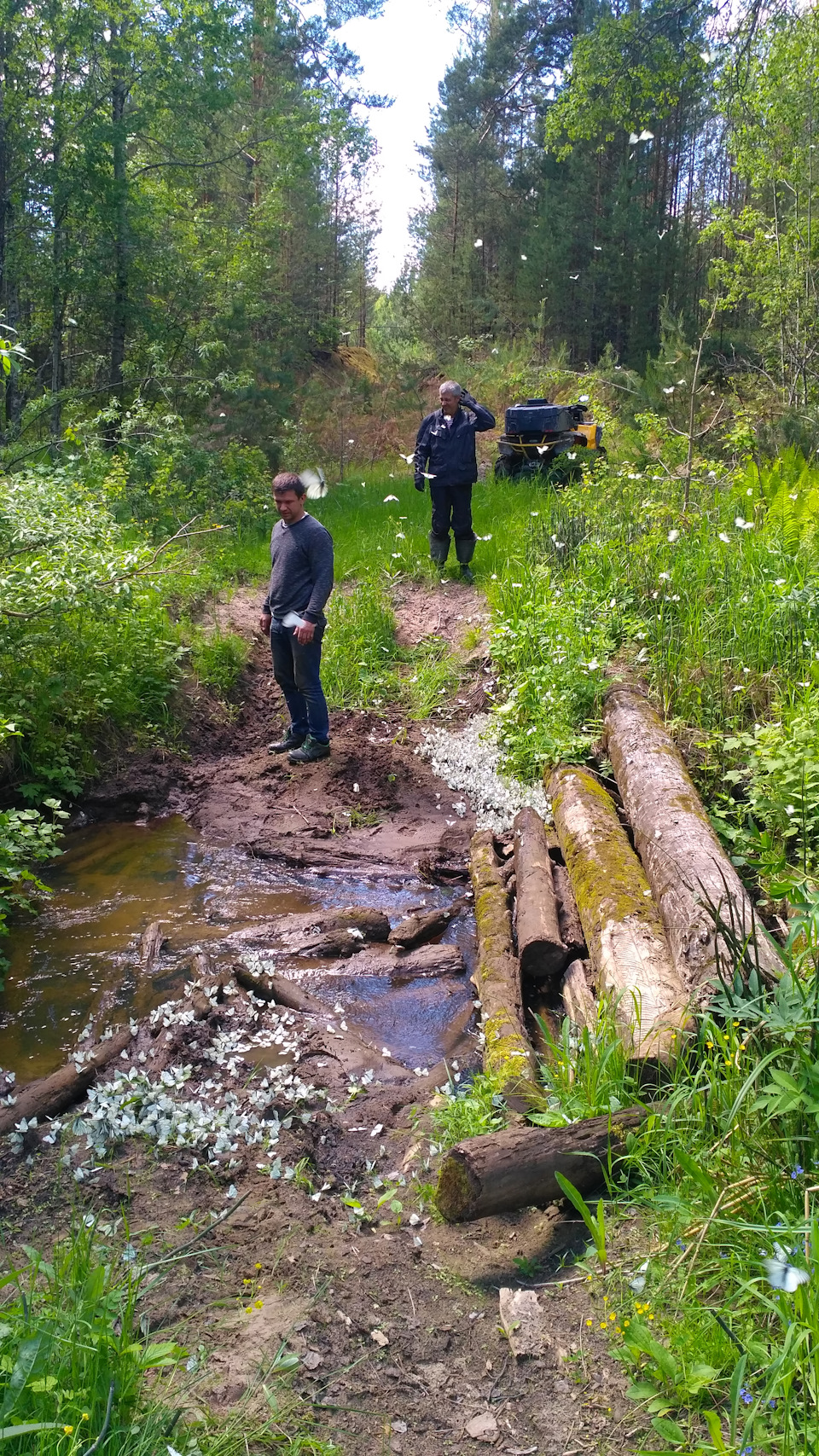 Фото в бортжурнале Suzuki Escudo (1G)