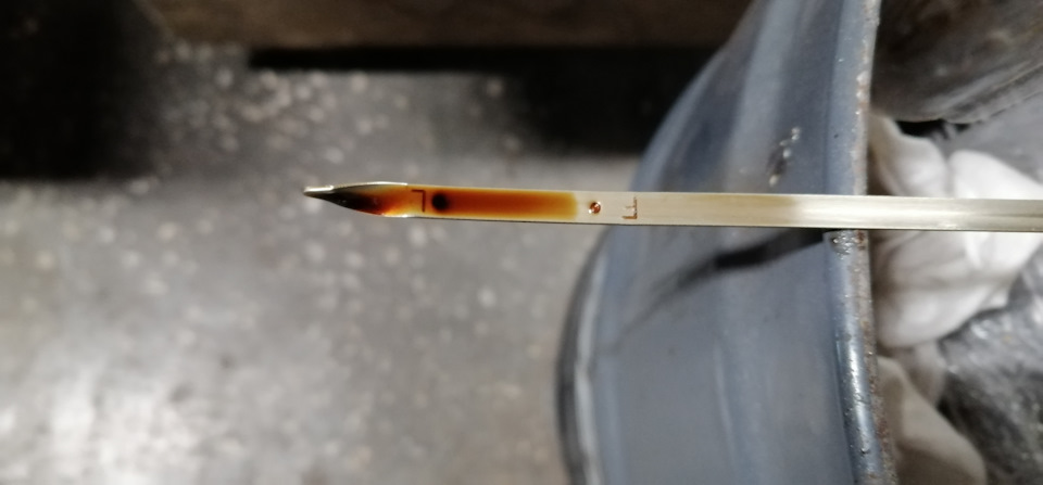 Жидкий фордовский кстрол 5W30 [почти] не угорает в исправном матриксе ...