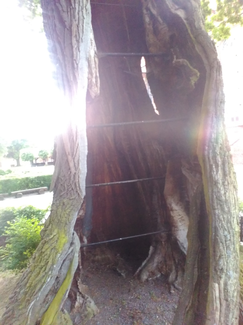 Молнией шибануло видимо — Toyota Celica (230)