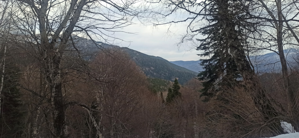 Фото в бортжурнале Mitsubishi Pajero (4G)