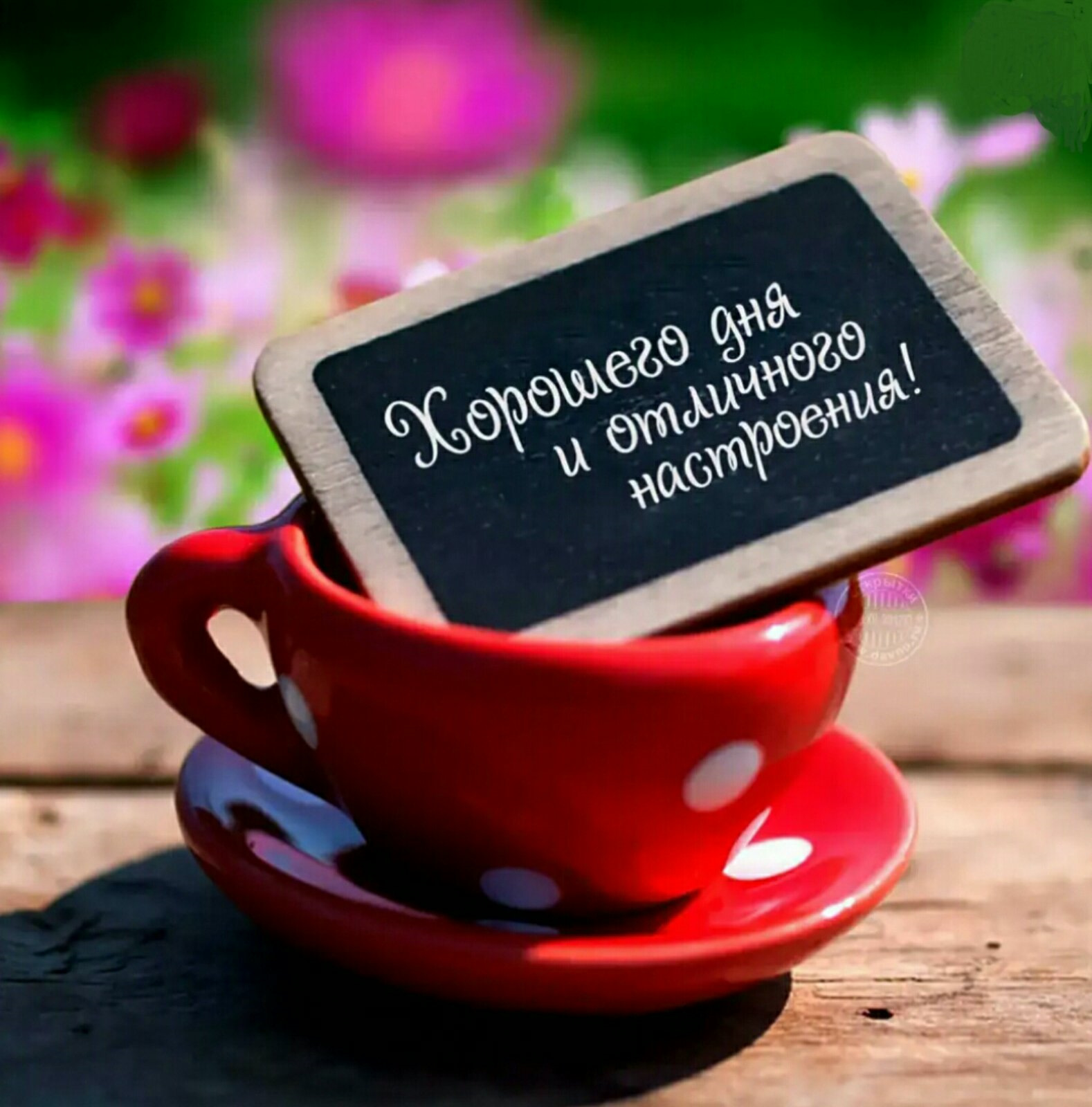 Доброе утро хорошего дня коллеги