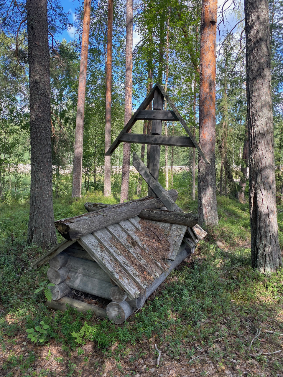 С собаками в Карелию. Куми-порог и окрестности — Сообщество  «Драйвер-Путешественник» на DRIVE2