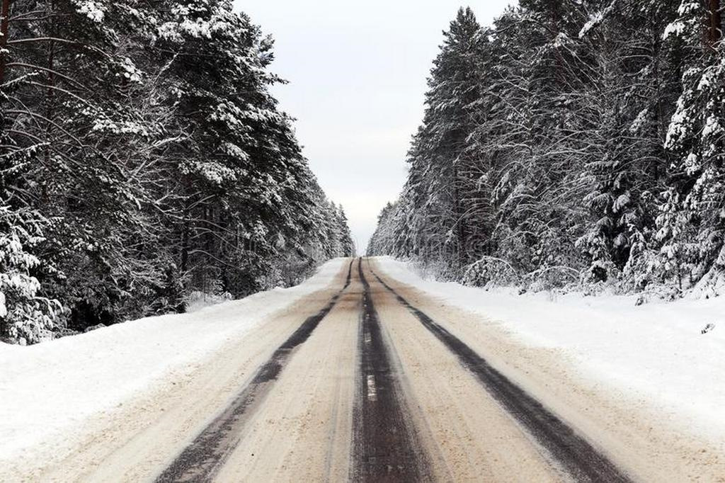 Фото колеи на дороге