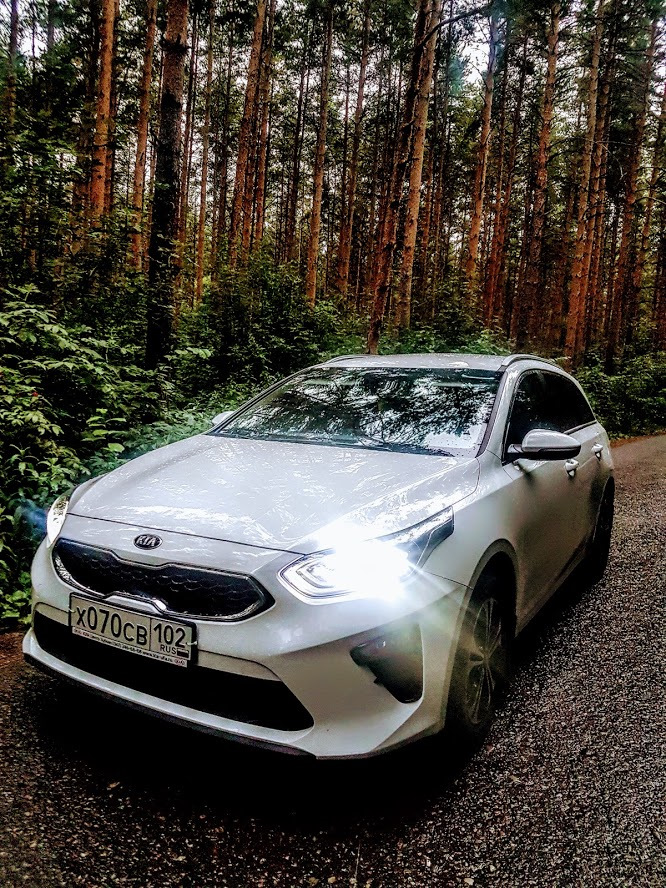 Замена фар Kia Ceed, цена в сервисных центрах РОЛЬФ