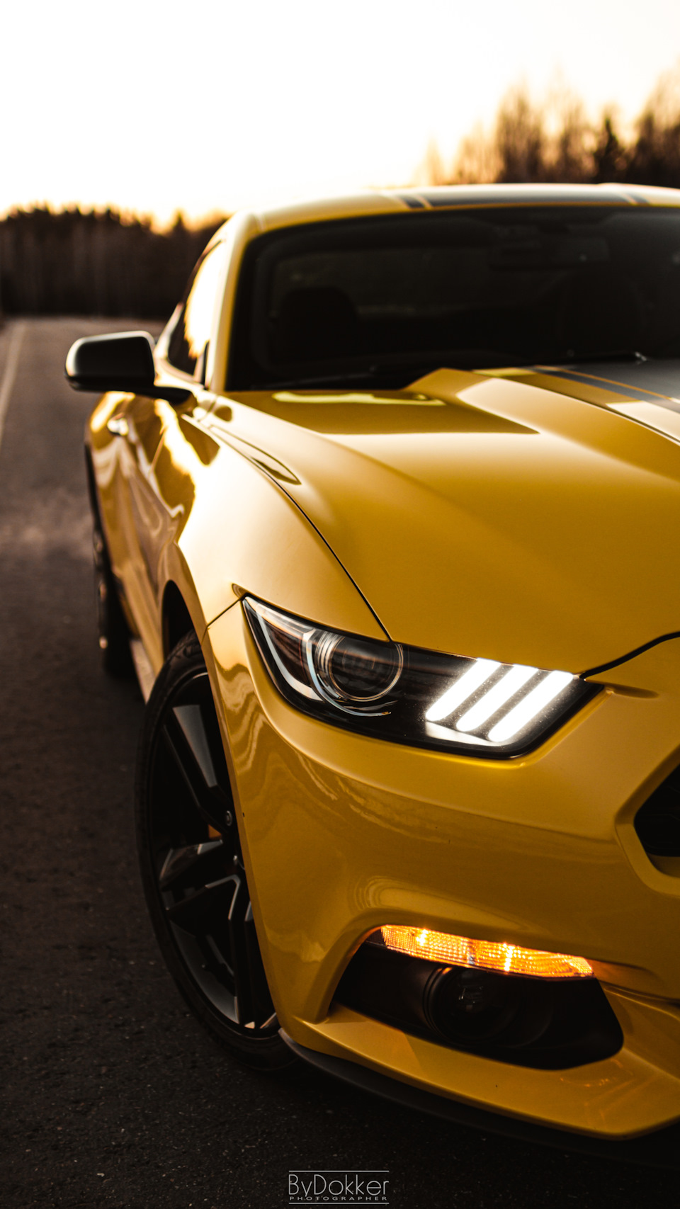 На закате. — Ford Mustang (6G), 2,3 л, 2015 года | фотография | DRIVE2