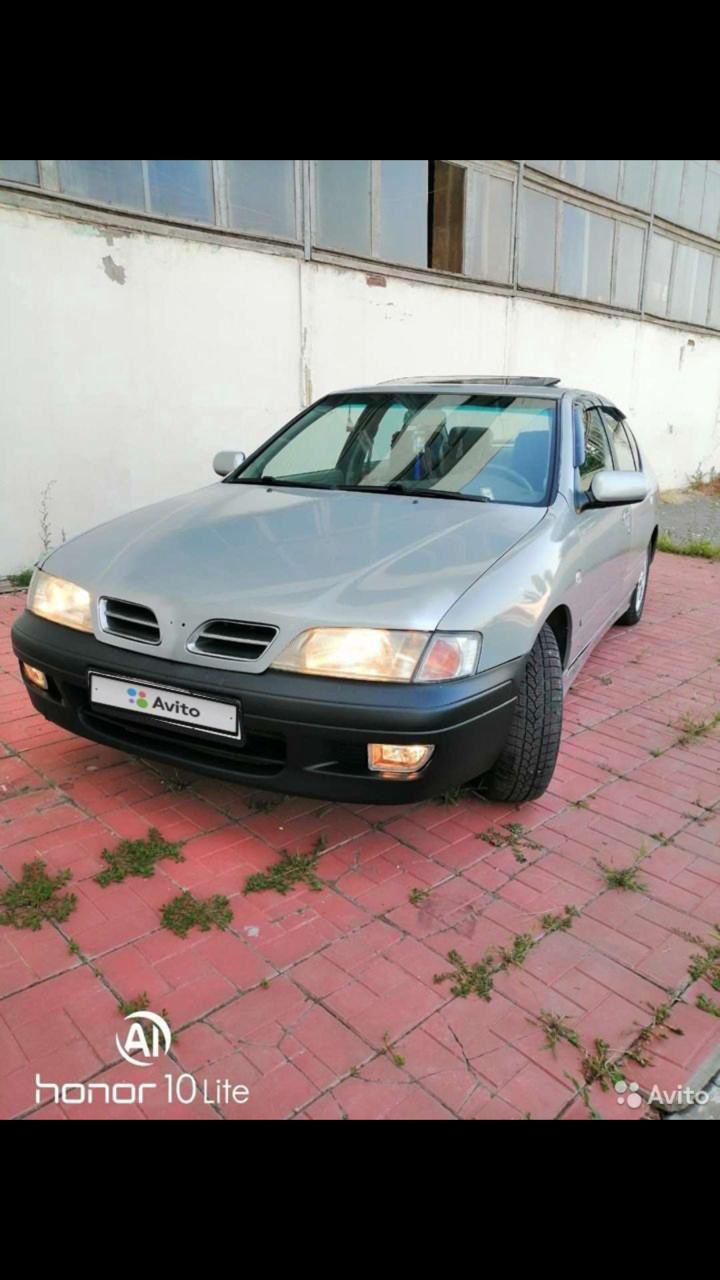 Новый друг — Infiniti G20 (P11), 2 л, 2000 года | встреча | DRIVE2