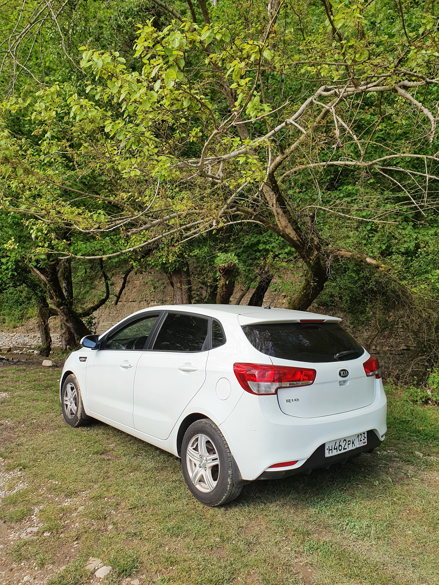 Адекватный каталог для Lada Largus — Lada Largus Cross, 1,6 л, 2019 ...