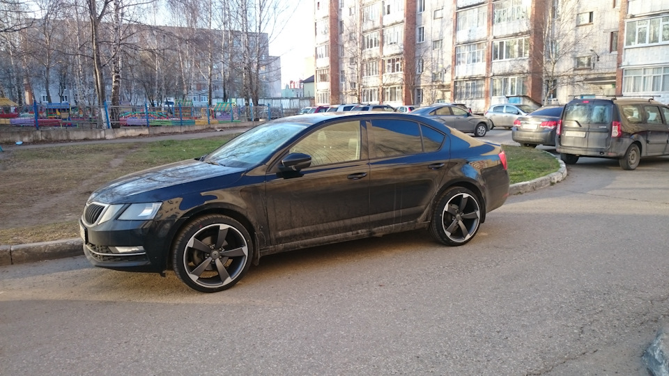 Skoda Octavia black cyborg