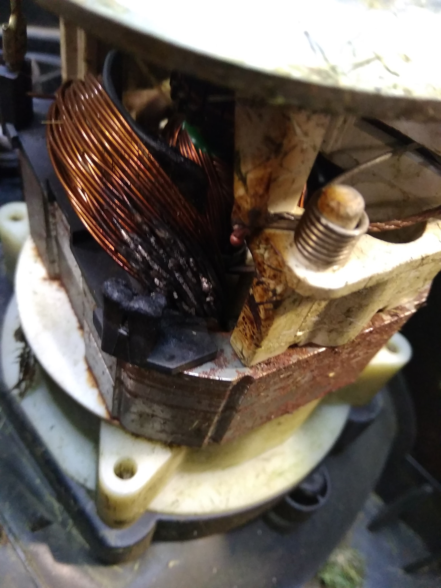 Сгорел мотор у пылесоса. Сгорел мотор пылесоса. Двигатель для промышленного пылесоса. Якорь двигателя пылесоса samsung 1600w. Мотор для пылесоса 8p22515-00.