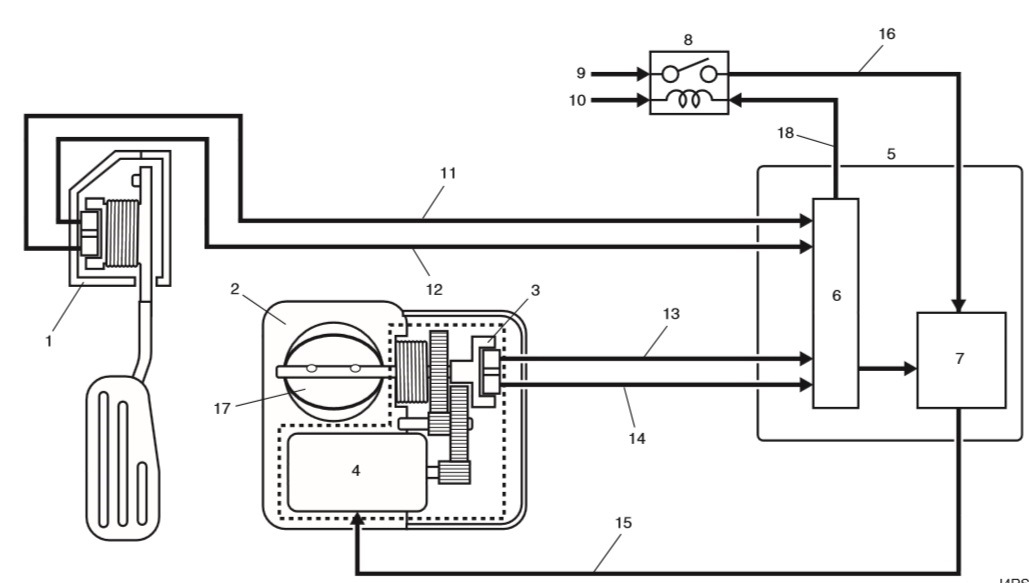 Электросхема дроссельной заслонки. Электрическая схема дроссельной заслонки Сузуки сх4. Схема привода дроссельной заслонки Suzuki 175. Распиновка дроссельной заслонки Сузуки. Электросхема дроссельной заслонки Сузуки сх4.