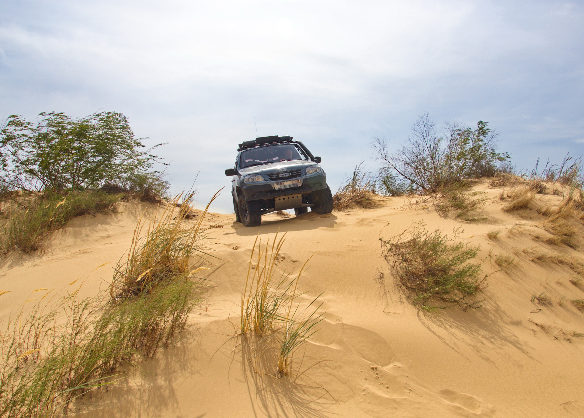 Туристический фестиваль. Гонка на песке. Песчаная 2023. Чарские пески барханы. Пляж тортуга джемете.