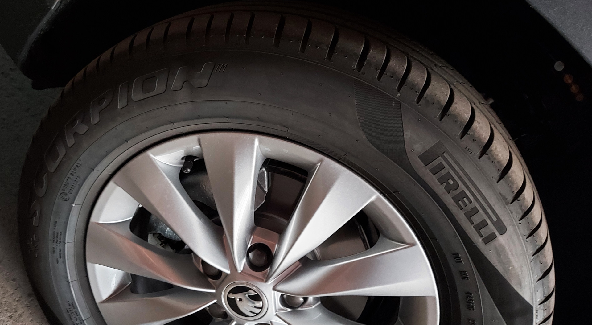 #1. Что за зверь эти Pirelli Scorpion (не Scorpion Verde) — Skoda Karoq ...