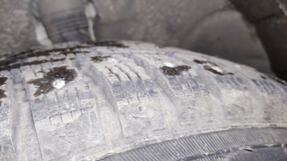 Замена на зиму или нордман может! — Skoda Kodiaq (1G), 2 л, 2020 года ...