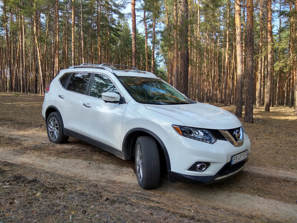 Фильтр грубой очистки ниссан жук - 80 фото