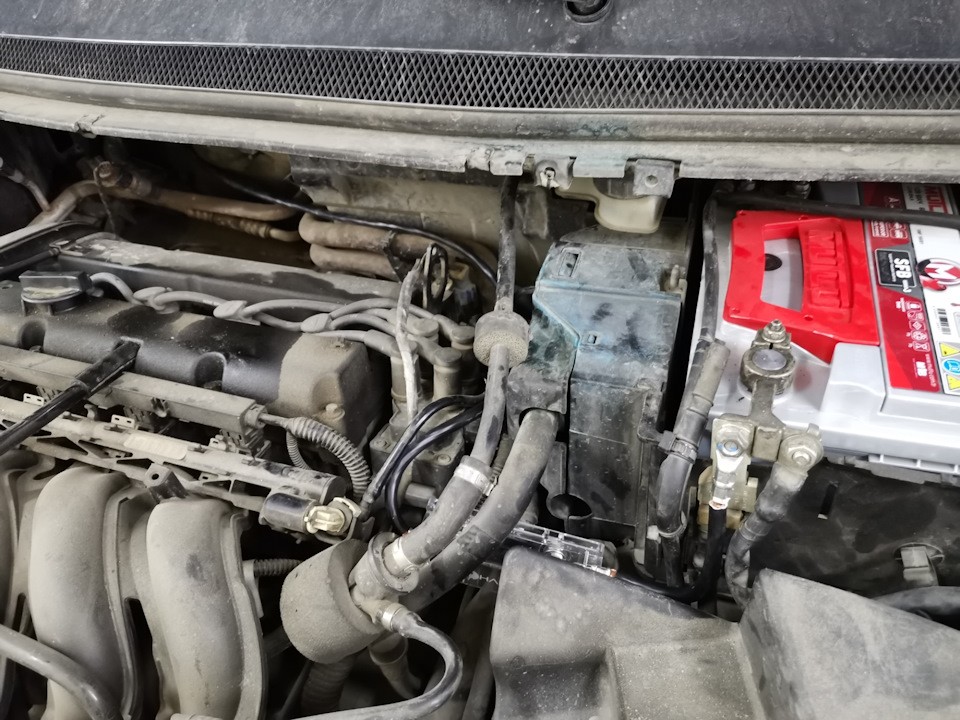 Фото в бортжурнале Ford Focus II Hatchback