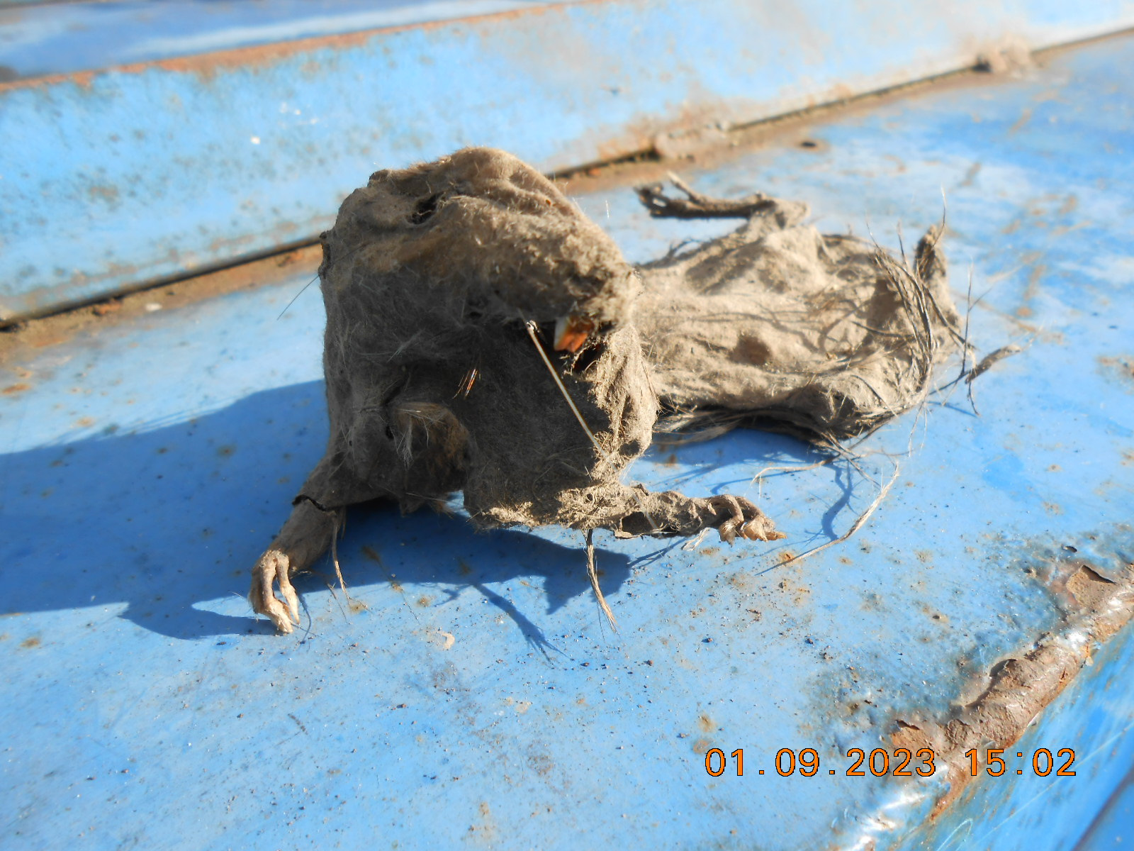 Привет из прошлого. И даже такое бывает. — Audi 100 (C3), 2,3 л, 1990 ...