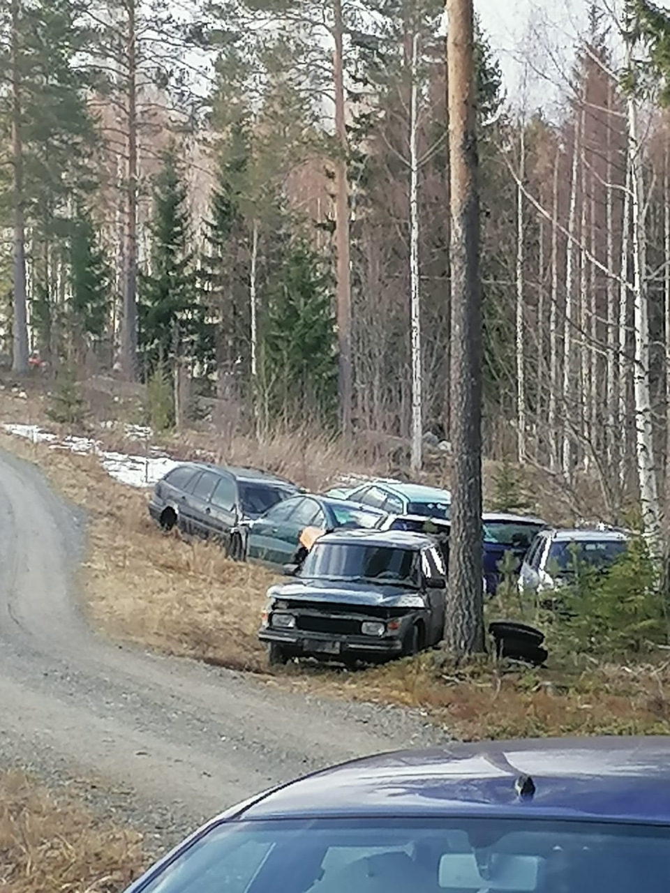 Покупку нашли на кладбище, ещё чуть и он бы пошел под пресс. — Saab 99, 2  л, 1983 года | покупка машины | DRIVE2