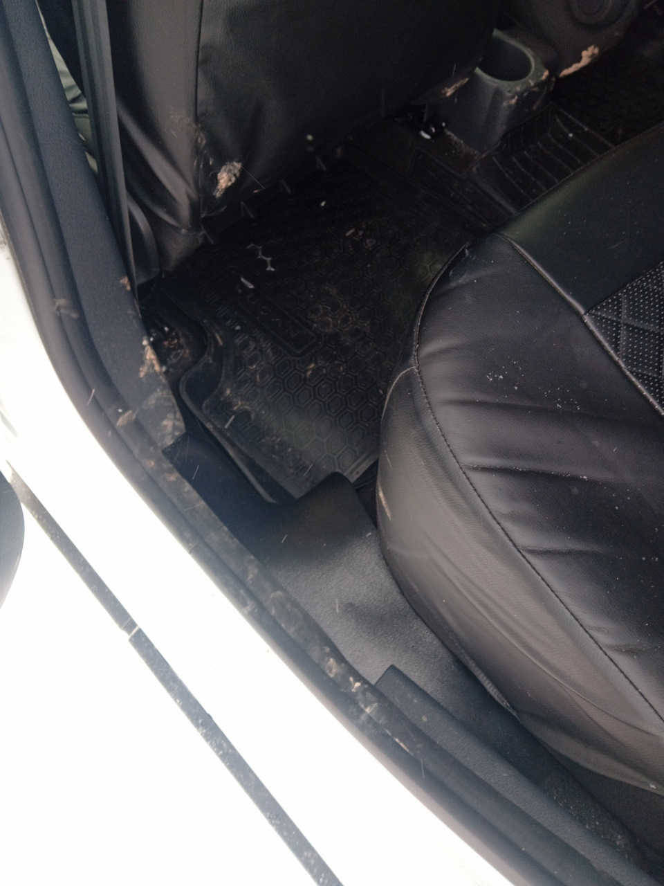 Фото в бортжурнале Renault Logan Stepway