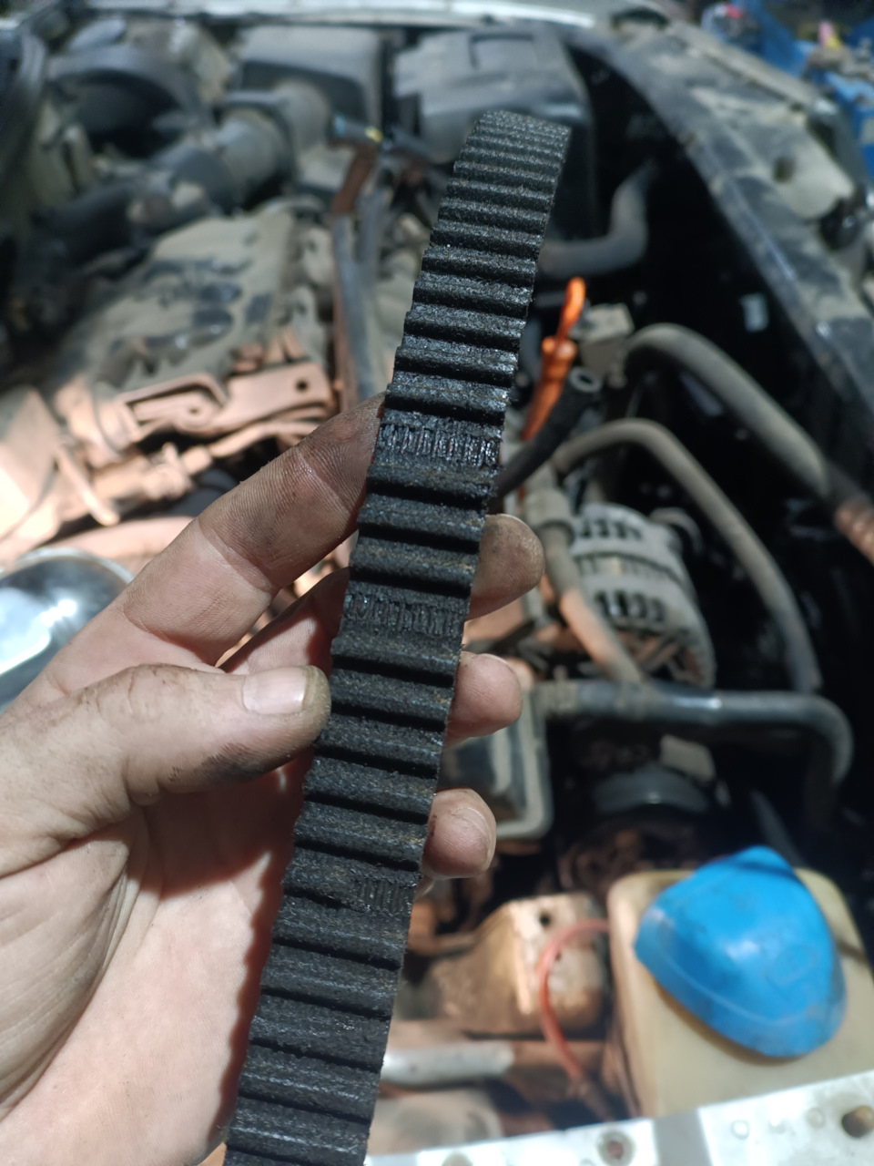 Фото в бортжурнале Skoda Octavia Combi A4 Mk1