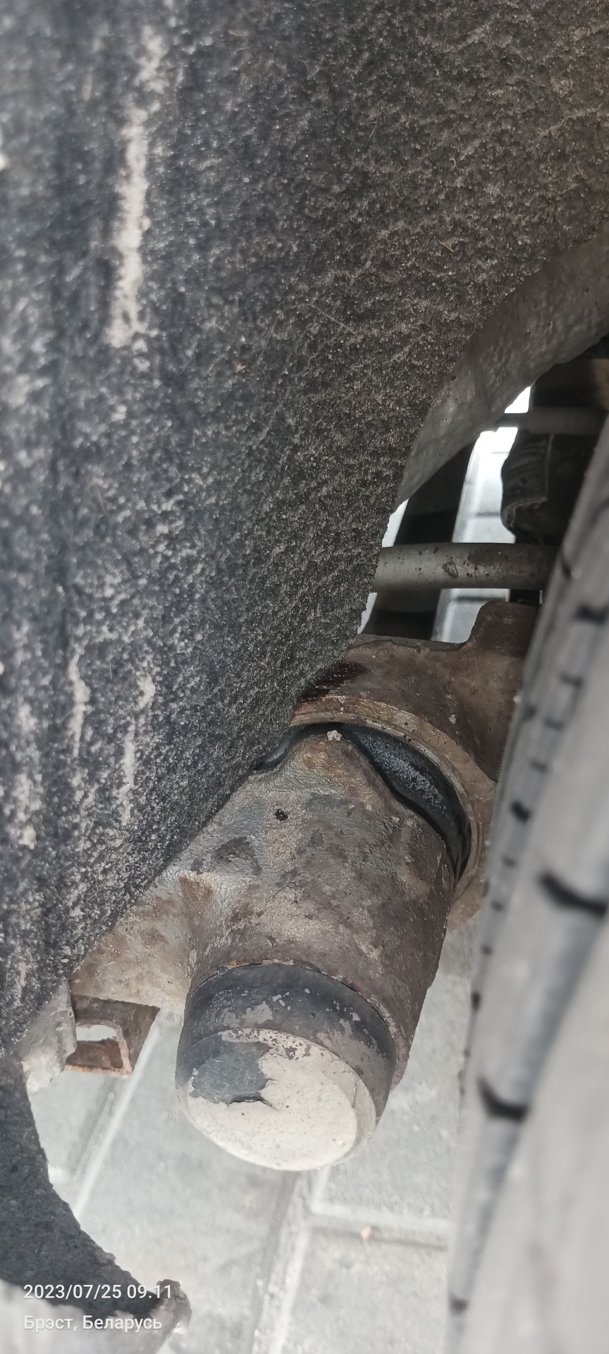 Клиренс задней подвески?.. — Renault Scenic I, 1,9 л, 1999 года ...