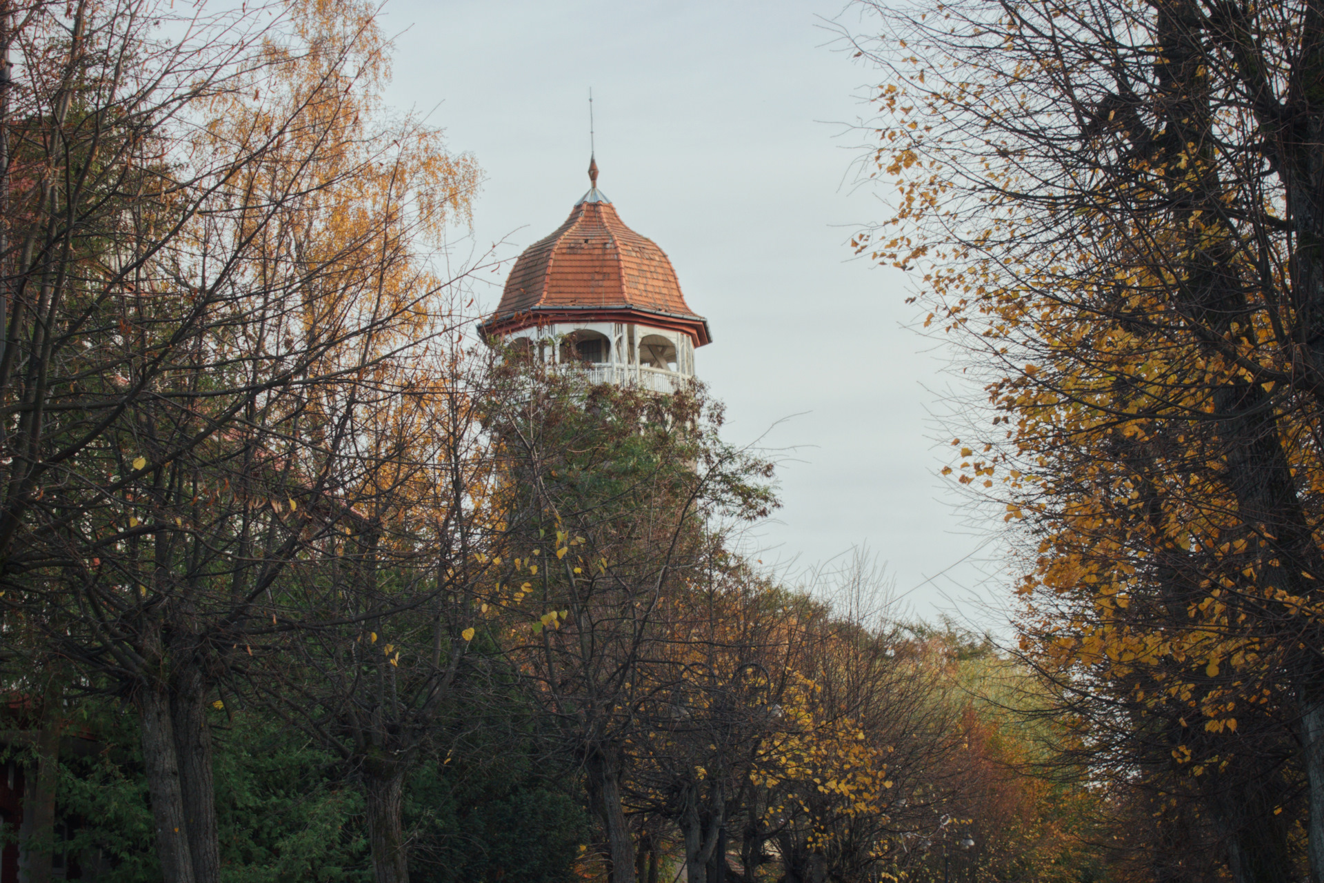 Осенний Светлогорск