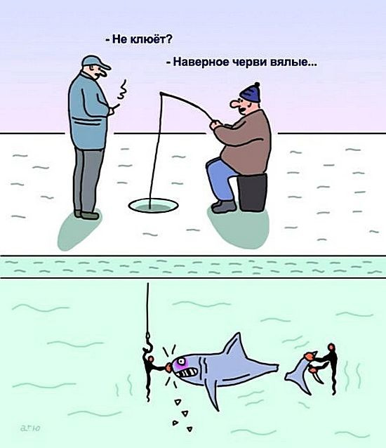 Не ловись рыбка не большая не маленькая: Запрет на ловлю воблы в Каспийском море
