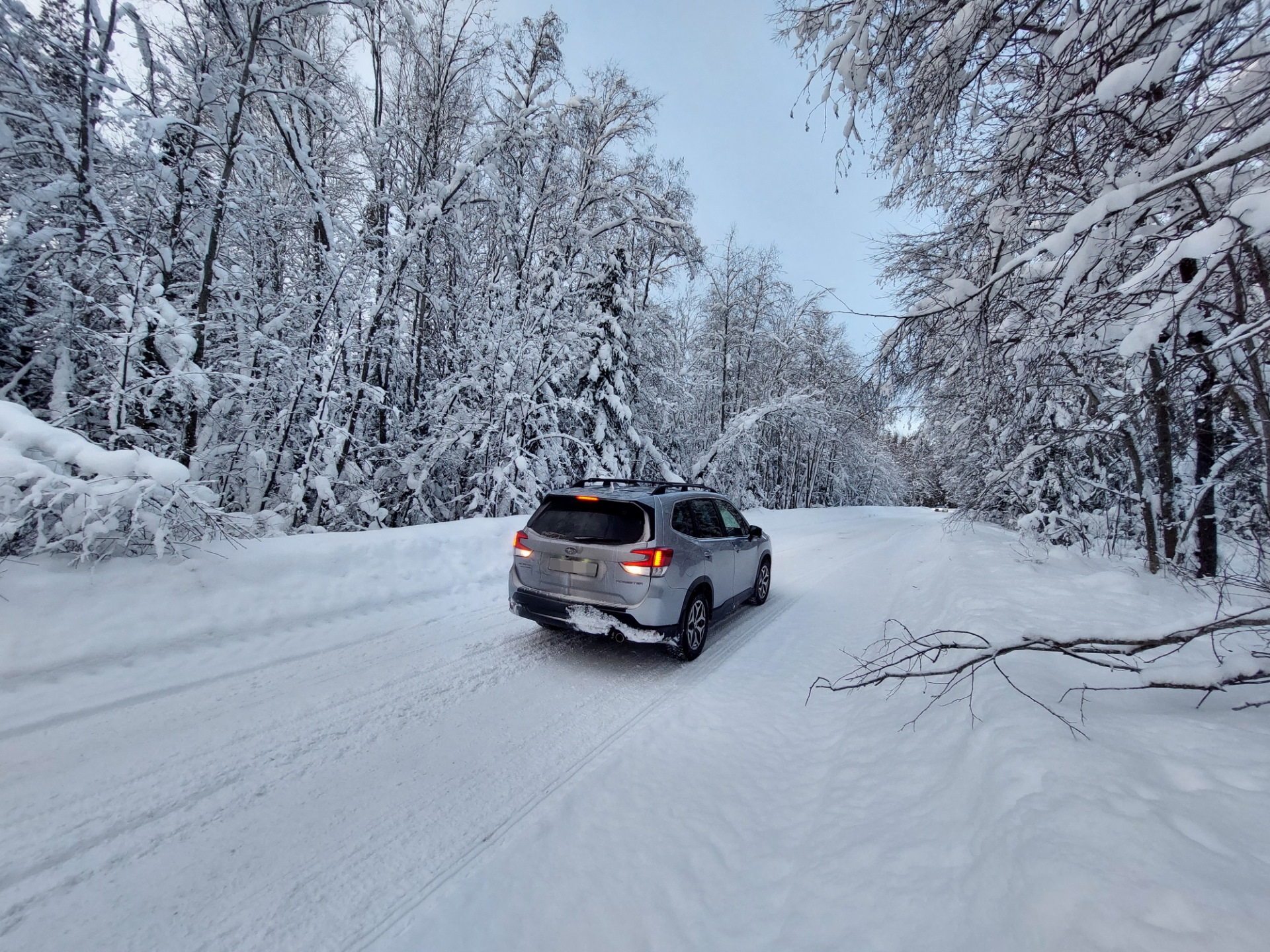 Три дня в Поморье, не считая дороги. — Subaru Forester (SK), 2,5 л, 2018  года | путешествие | DRIVE2