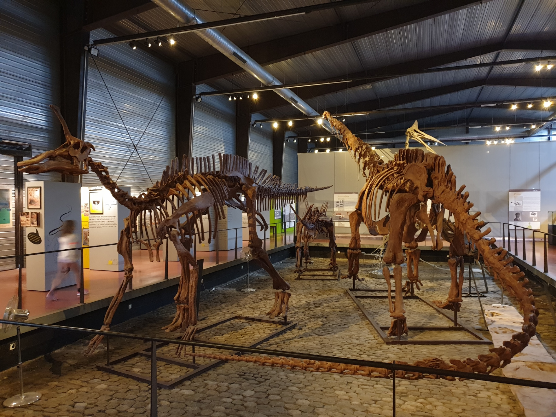 Музей динозавров в москве