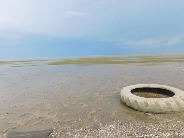 В Грузию с караваном 2017- 4 июля. Опять дорога. — Opel Frontera A, 2,4 ...