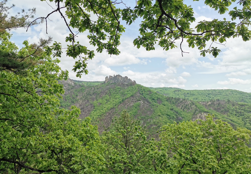 Фото в бортжурнале Toyota Land Cruiser Prado 70-series