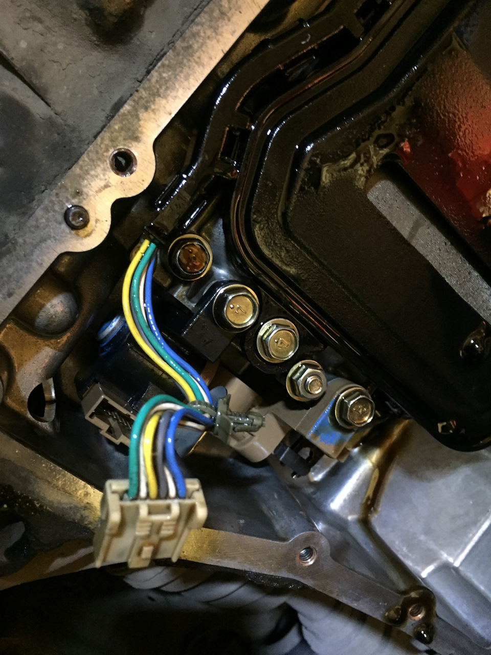 Фото в бортжурнале Nissan Tino
