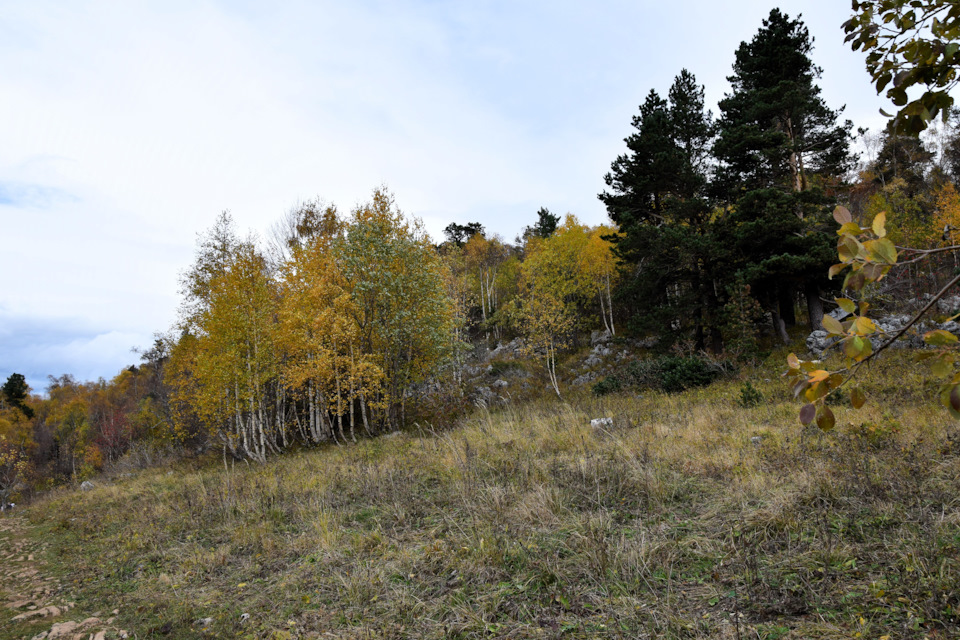 Фото в бортжурнале Renault Duster (1G)