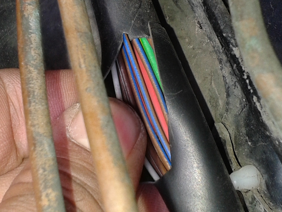 Синий и коричневый провод в трансформаторе. Коричнево синий провод Приора. Вентилятор провода красный синий черный. Красный и синий провод под панелью Газель.