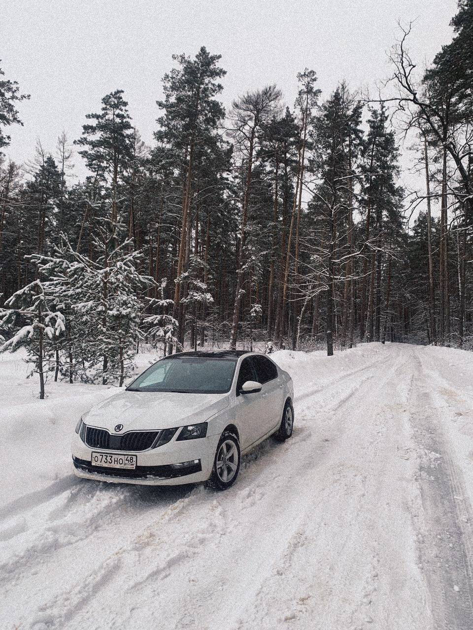 Продажа, покупка и мудаки с Авито Автотеки! — Skoda Octavia A7 Mk3, 1,6 л,  2019 года | продажа машины | DRIVE2