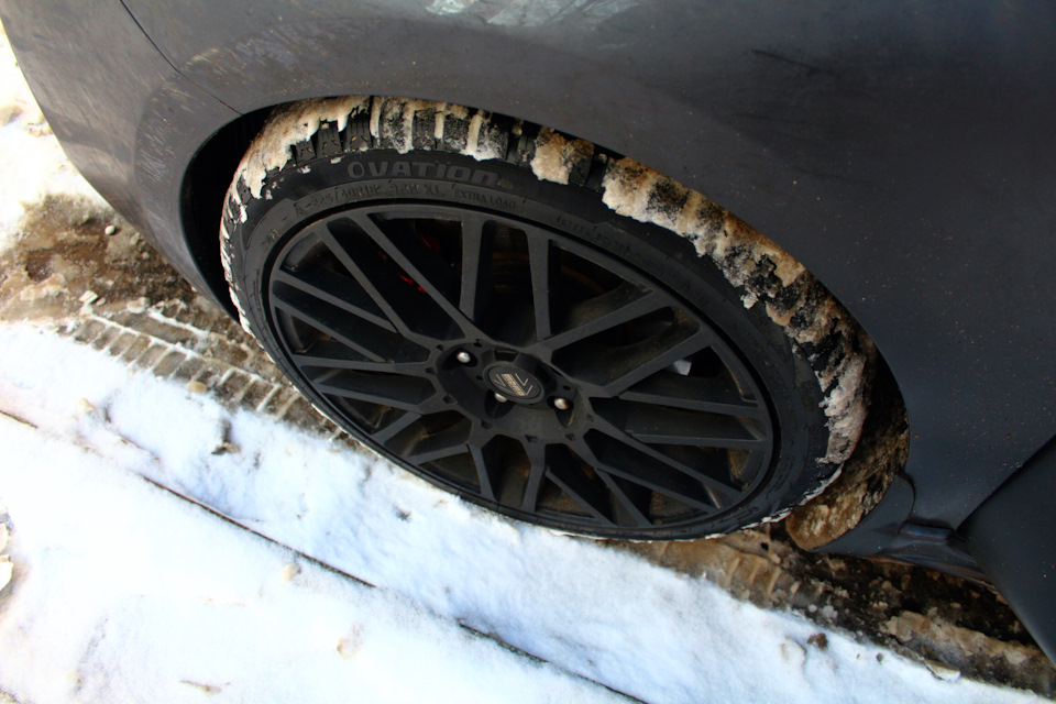 コマザワ　タイヨウ様 🌍️HELLO IN THE WORLD SOFVI!!2 Archive🌍️ MOMOZAZA @momoxzaza