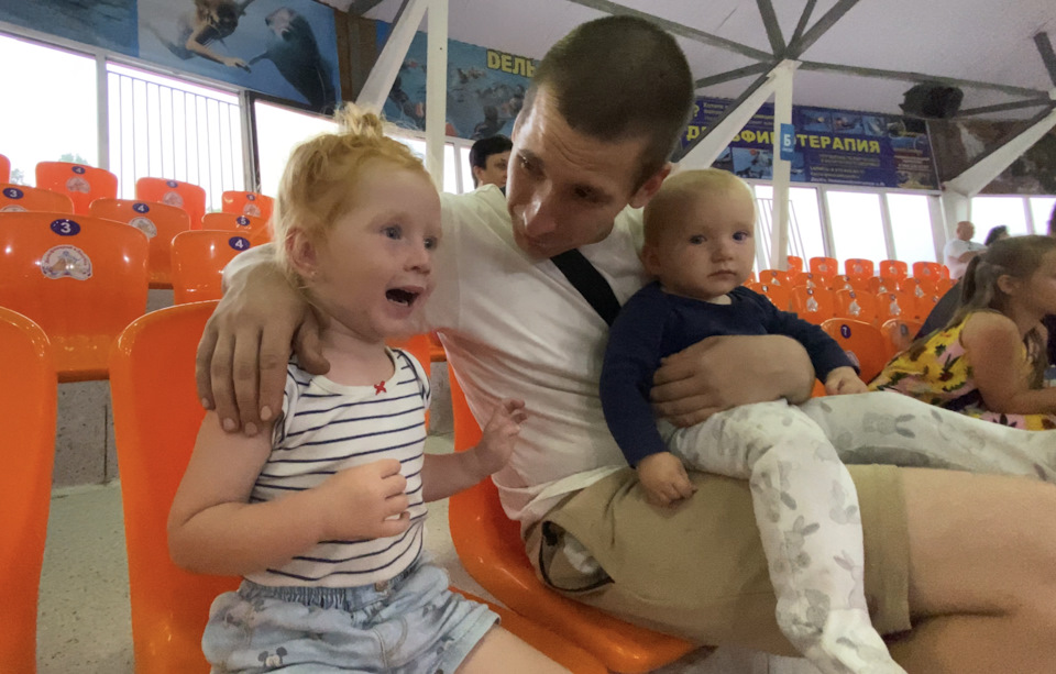 Вау, дельфины :) — Honda Odyssey (3G)