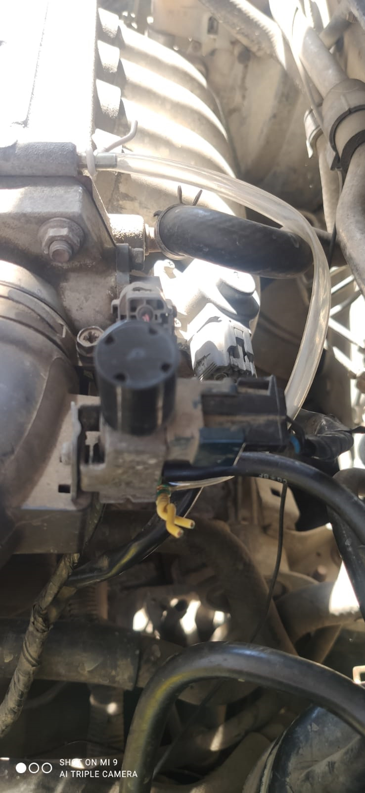 Photo from the logbook Mazda Familia (BJ)