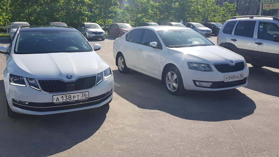 Ложное срабатывание датчика мертвых зон! — Skoda Octavia A7 Mk3, 1,4 л ...