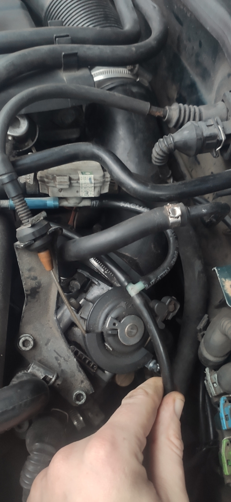 Фото в бортжурнале Audi A4 Avant (B5)