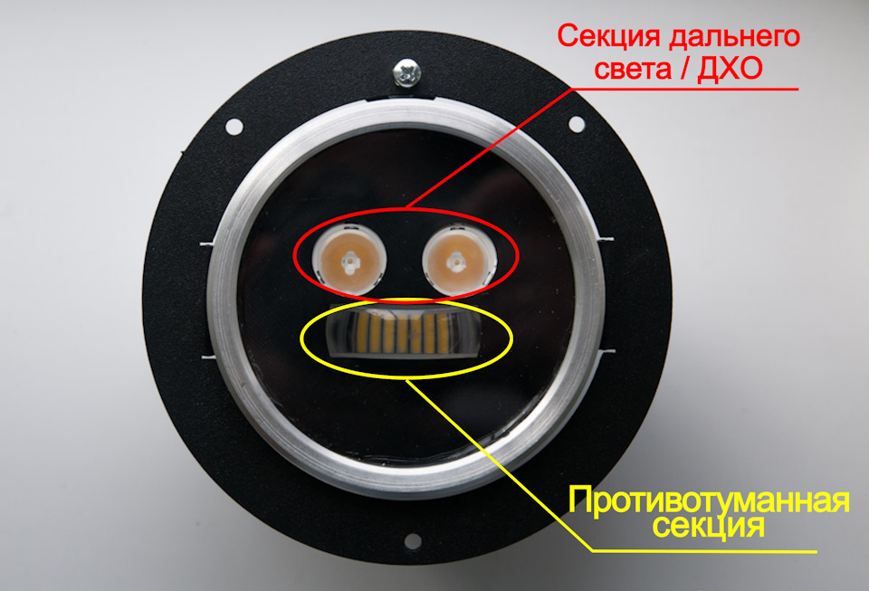 что такое крейзи фрог. Смотреть фото что такое крейзи фрог. Смотреть картинку что такое крейзи фрог. Картинка про что такое крейзи фрог. Фото что такое крейзи фрог