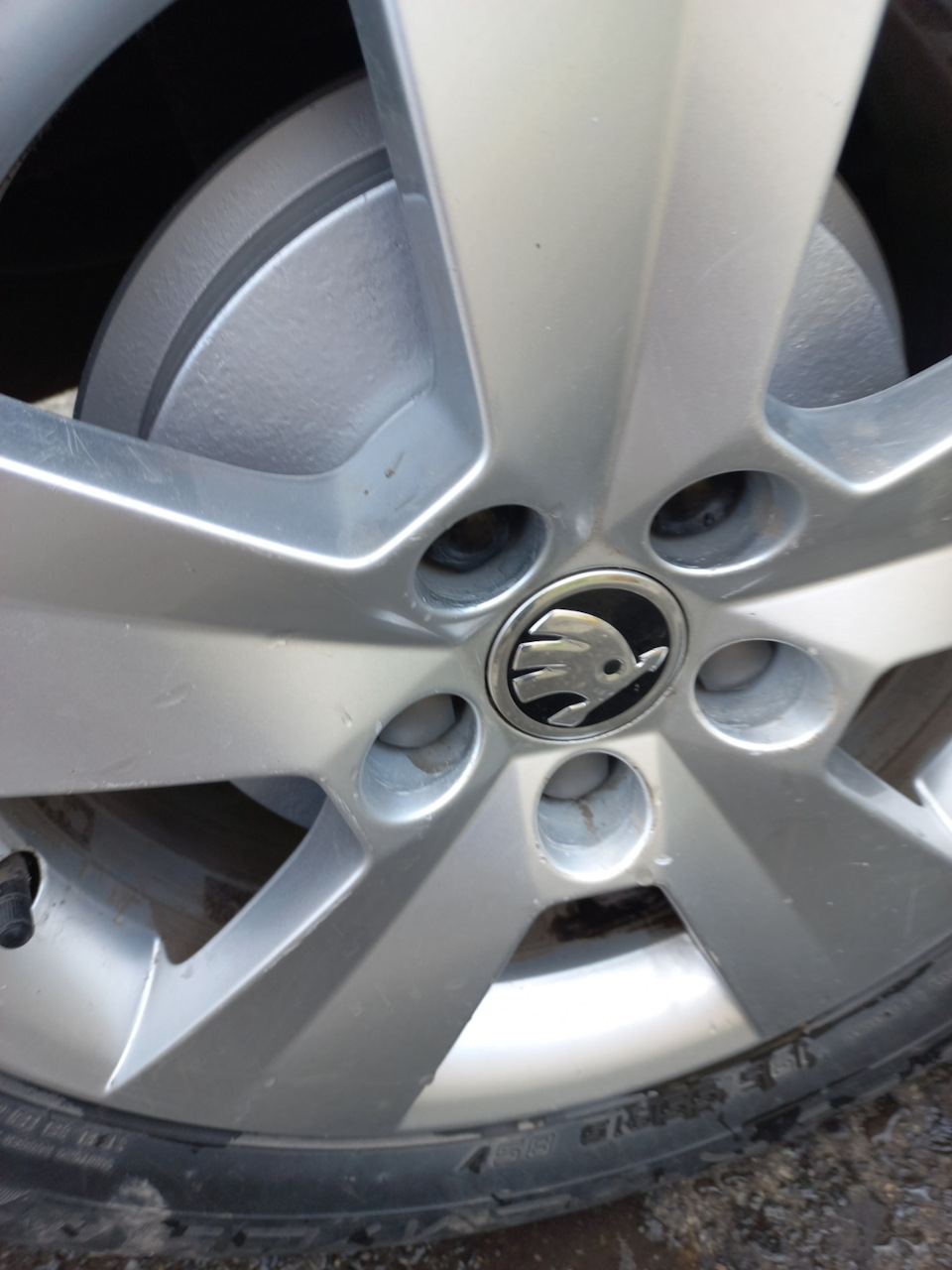Задние барабаны. — Skoda Rapid (1G), 1,6 л, 2019 года | просто так | DRIVE2