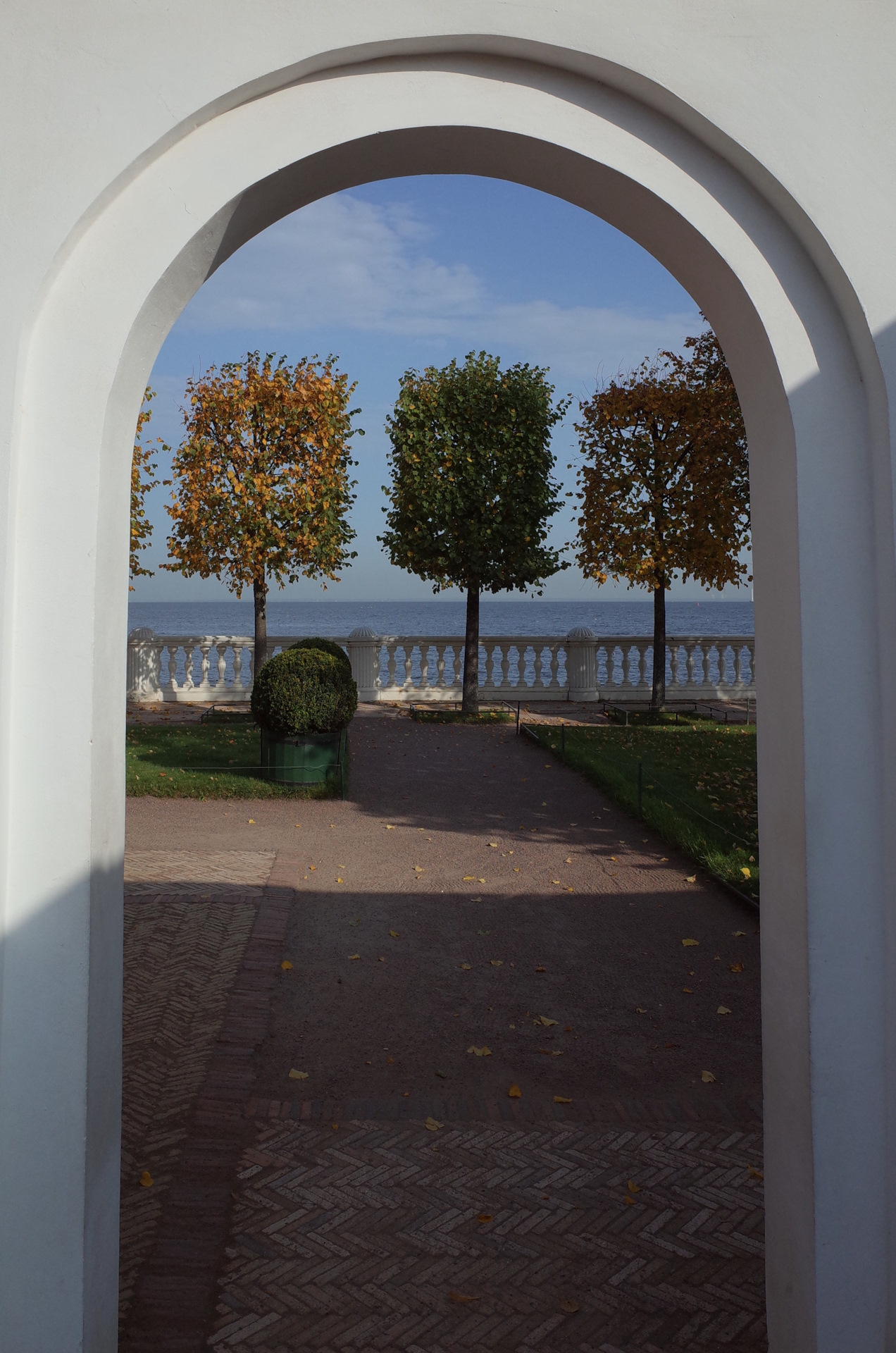 Замена правого сальника в переднем редукторе под привод — Toyota ...