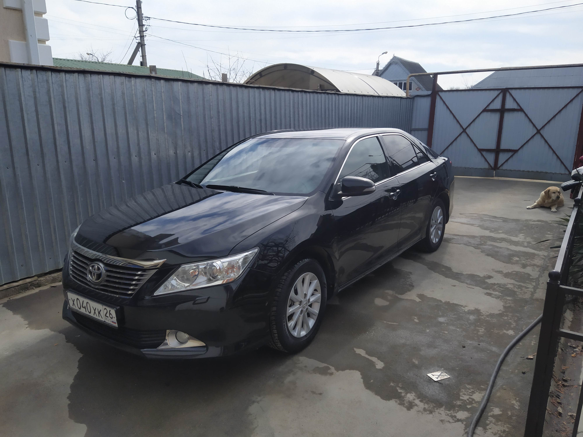 Прошел год владения машиной — Toyota Camry (XV50), 2,5 л, 2012 года |  покупка машины | DRIVE2