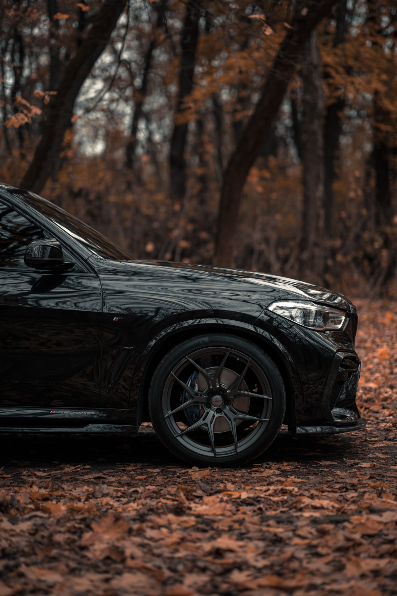 Осенний фотосет. Видео. — BMW X5 (G05), 3 л, 2020 года | фотография ...