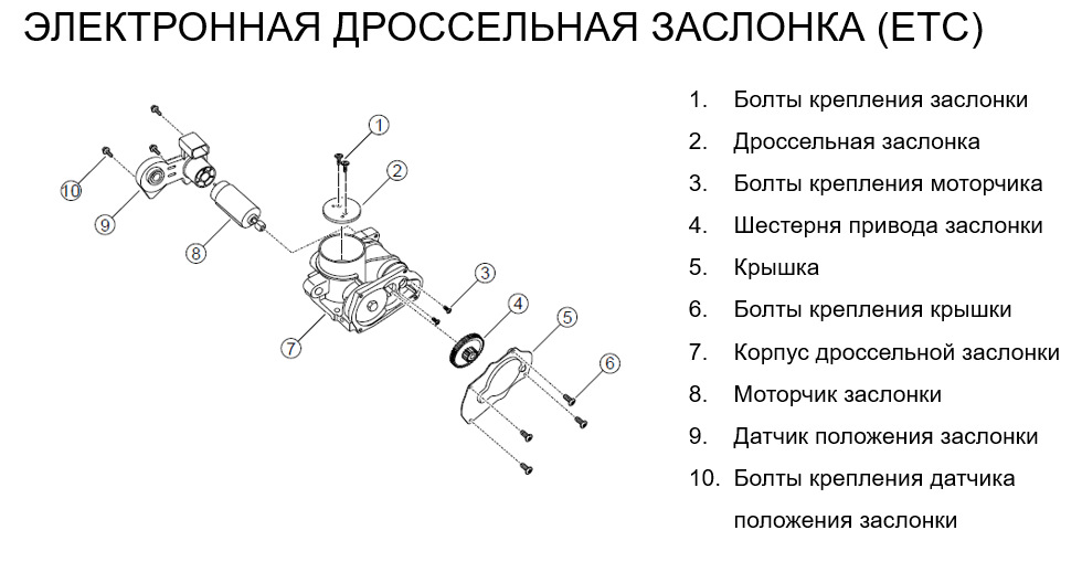 Устройство и принцип работы дроссельной заслонки — DRIVE2