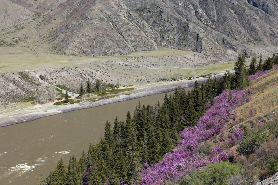 Фото в бортжурнале УАЗ 3962