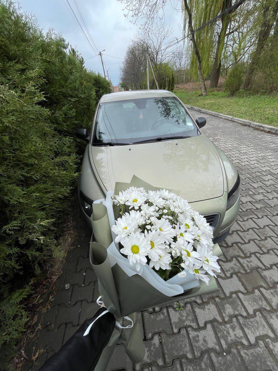 Фото в бортжурнале Volvo C30